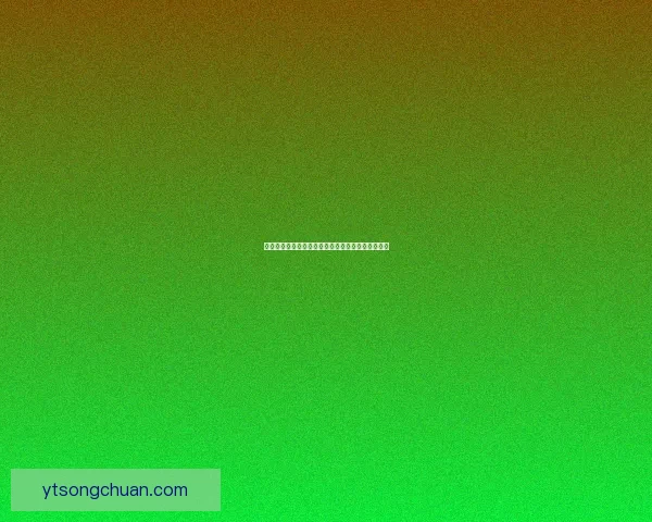 男格斗转型发展路径解析从教练到创业机会多元选择